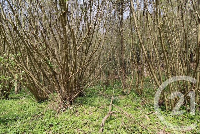 Afficher la photo en grand divers à vendre - 34000.0 m2 - CANY BARVILLE - 76 - HAUTE-NORMANDIE - Century 21 Accore