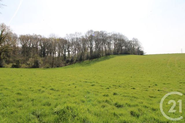 Afficher la photo en grand divers à vendre - 34000.0 m2 - CANY BARVILLE - 76 - HAUTE-NORMANDIE - Century 21 Accore