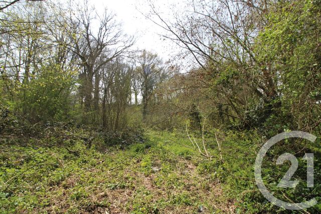 Afficher la photo en grand divers à vendre - 34000.0 m2 - CANY BARVILLE - 76 - HAUTE-NORMANDIE - Century 21 Accore