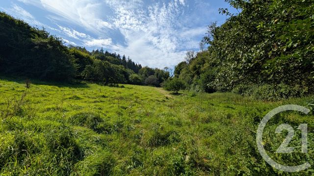 maison à vendre - 8 pièces - 194.22 m2 - CANY BARVILLE - 76 - HAUTE-NORMANDIE - Century 21 Accore