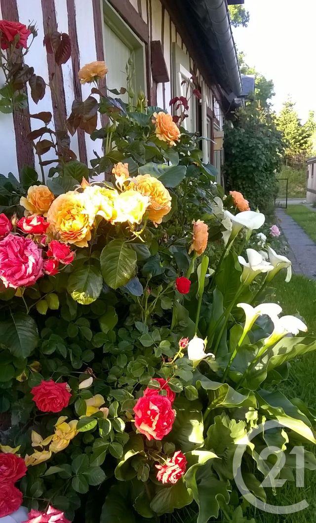 maison à vendre - 5 pièces - 91.0 m2 - VEULETTES SUR MER - 76 - HAUTE-NORMANDIE - Century 21 Accore