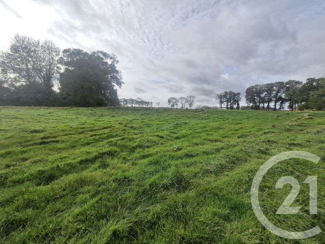 terrain à vendre - 3000.0 m2 - BLOSSEVILLE - 76 - HAUTE-NORMANDIE - Century 21 Accore
